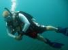 Diving in Key Largo, FL