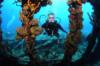 Diving wreck of Rhone BVI