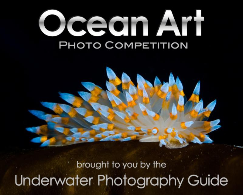 Ocean Art Photo Contest