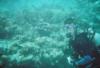 Me Diving at East Wind (Virgin Islands)