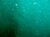 crescent bay dive
