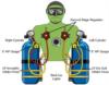 Sidemount diving gear configuration, hose placement