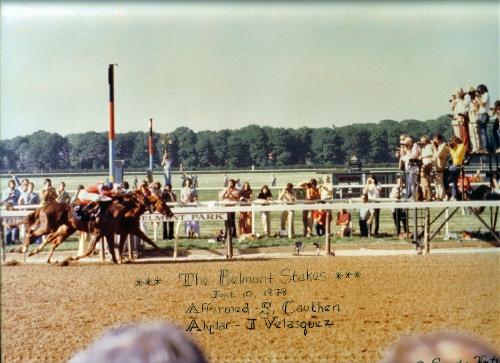 1978 Belmont Stakes Win Picture