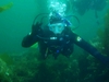 My first dive in Catalina!