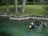 Just after jumping off the boat at Crystal River