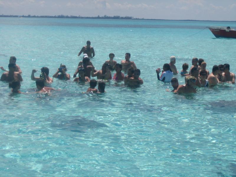 Stingray City - Grand Cayman - Sep 08