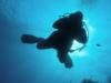 Nesher Shore Diving @ Utopia - Utila - Mar 2011