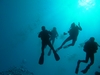 West Caicos Divers Apr 07