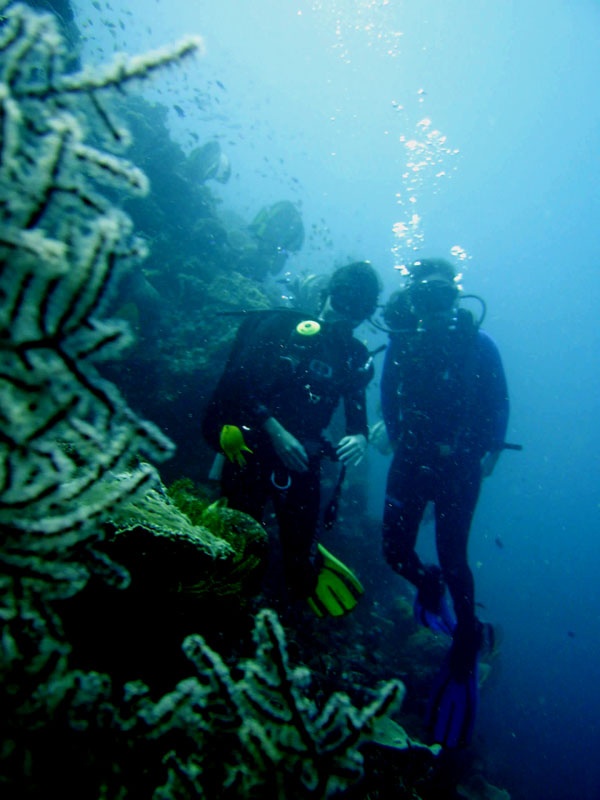 Dive at Gilutungan Mactan Cebu