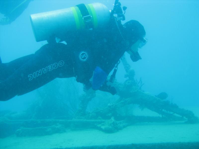 Puplover on the wreck of the Prince Albert - Roatan 2009