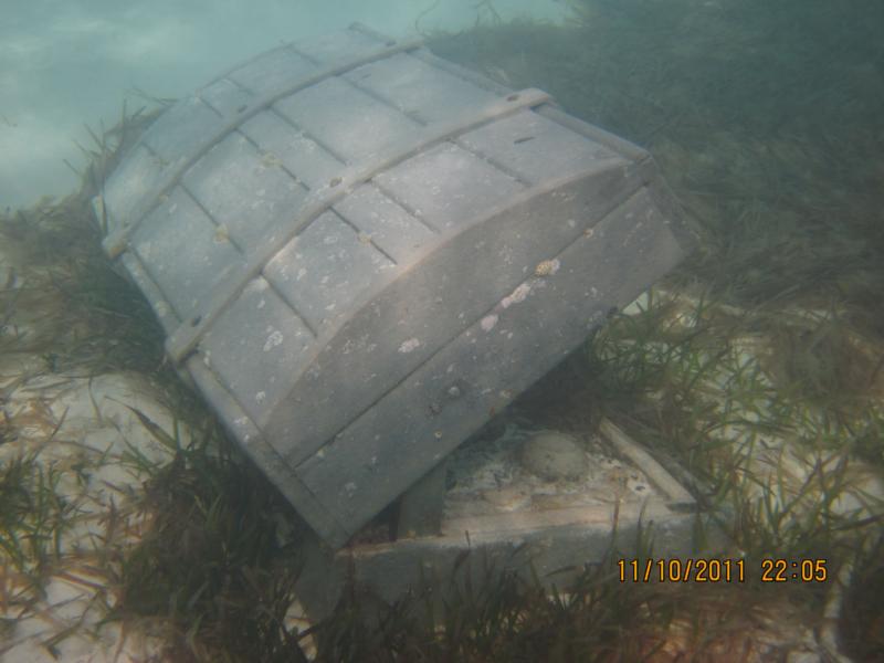an old trunk underwater