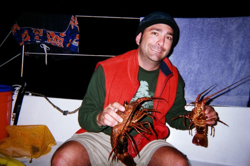 Catalina Lobsters