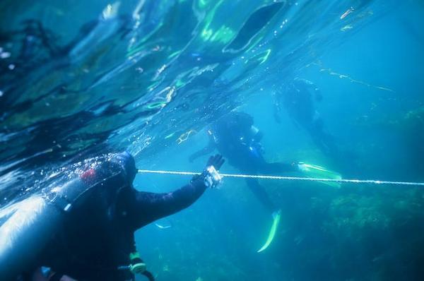 Descending on a Dive