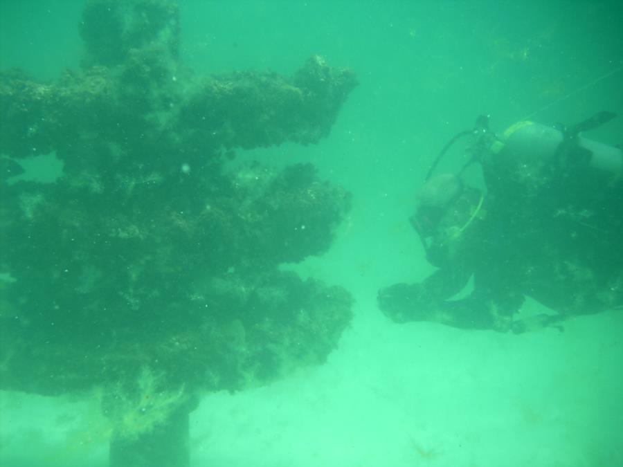 Reef Structure